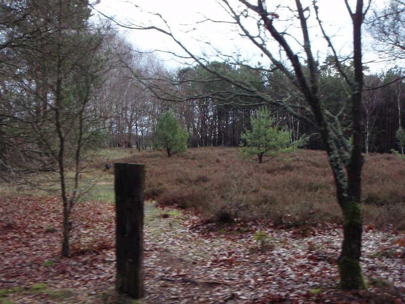 CTF Celle 034
